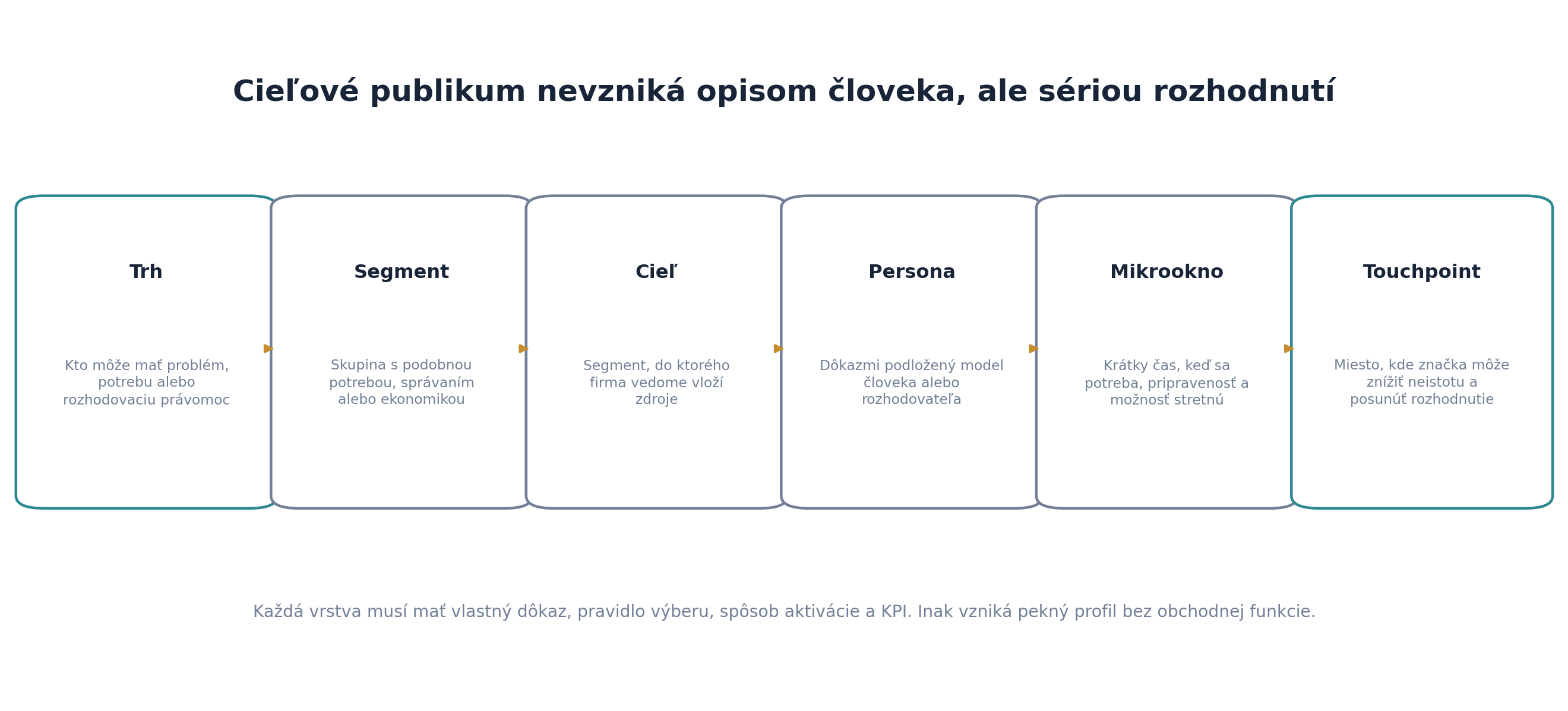 Schéma prepájajúca trh, segment, cieľ, personu, nákupné mikrookno a touchpoint.